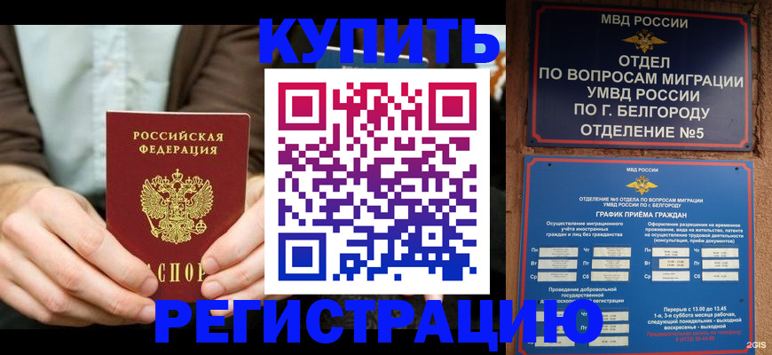 прописка 2025 в Краснозаводске